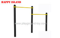 China Double Parallel Bar Sports Fitness Equipment Outdoor  For Workout distributor